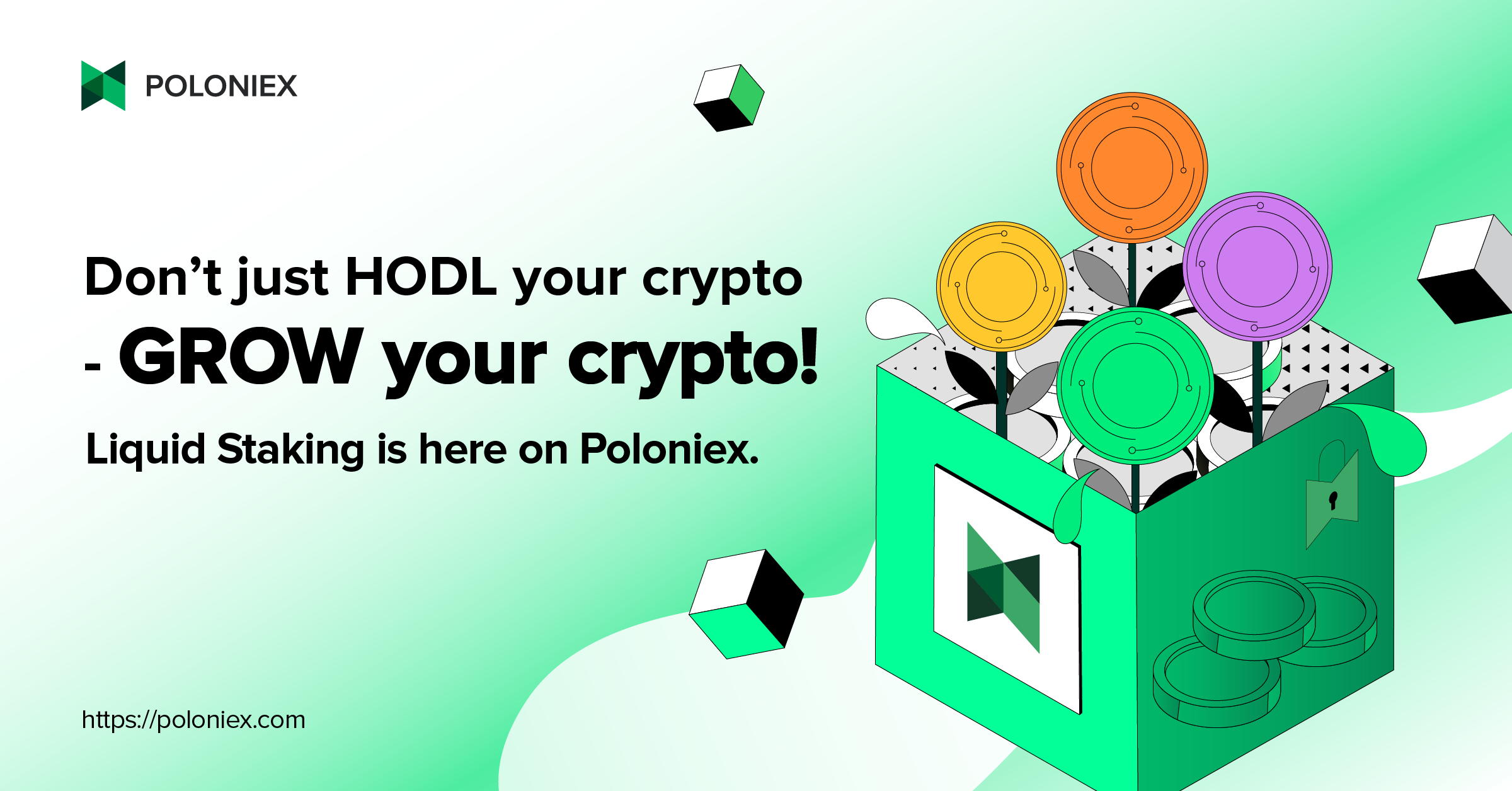 Latest Crypto Insights - Blog Expert Analysis | Poloniex