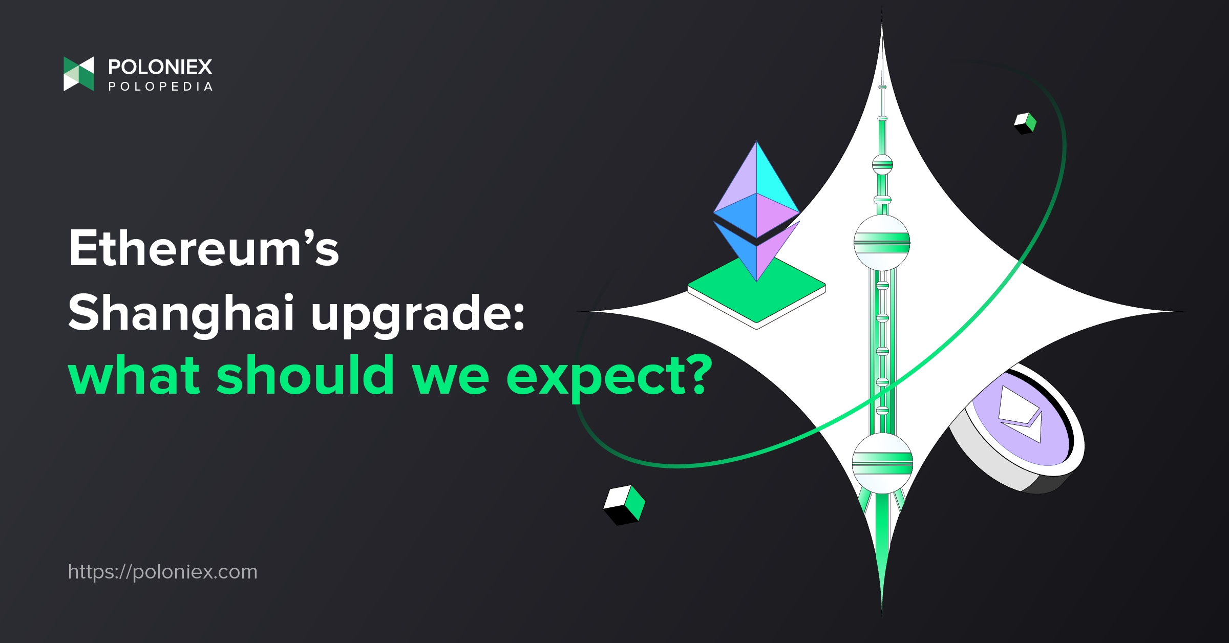 Latest Crypto Insights - Blog Expert Analysis | Poloniex