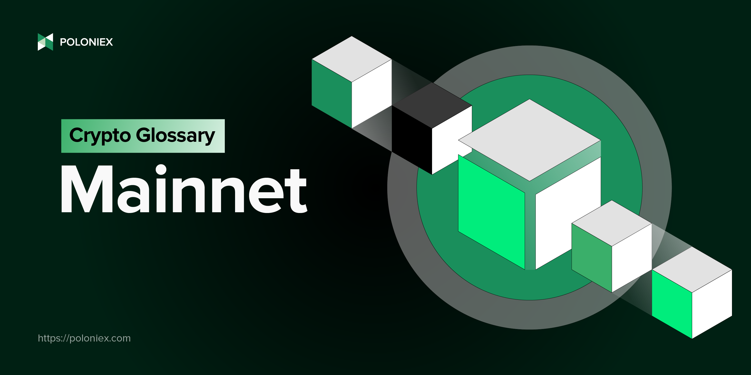 Latest Crypto Insights - Blog Expert Analysis | Poloniex