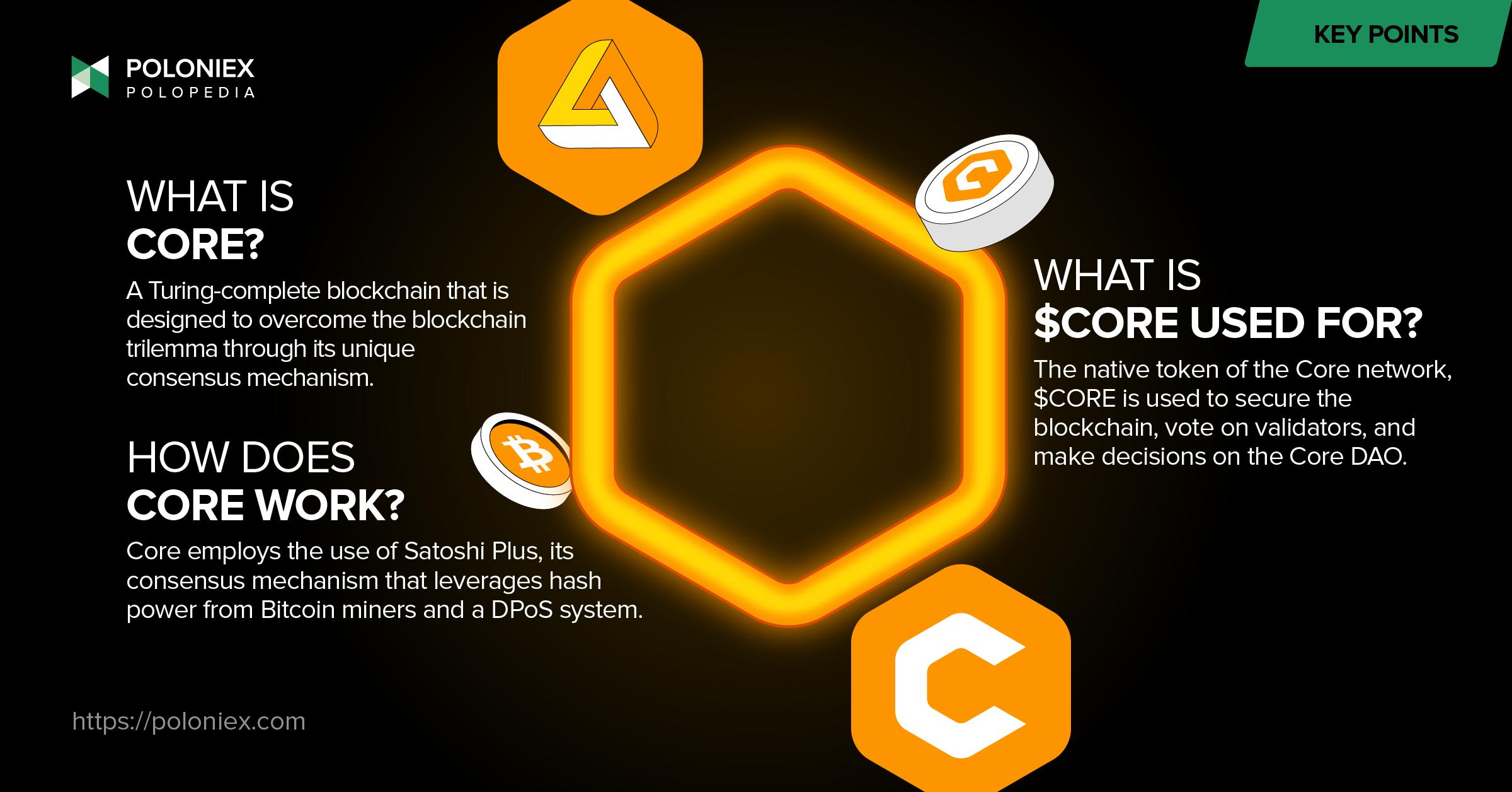 Latest Crypto Insights - Blog Expert Analysis | Poloniex