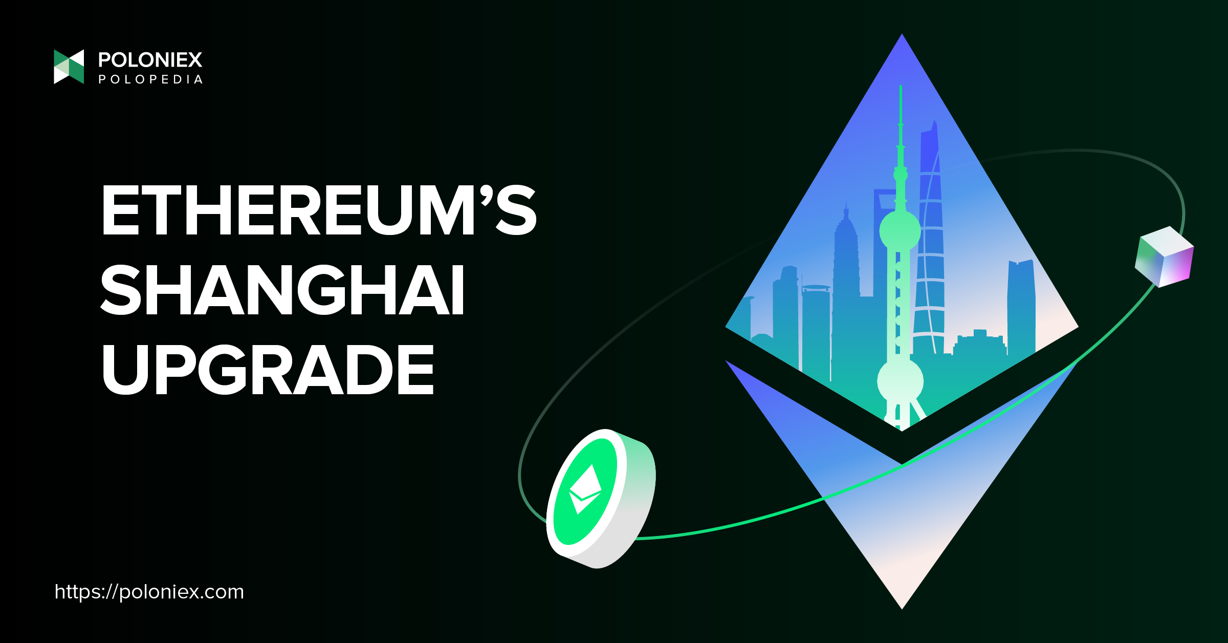 Latest Crypto Insights - Blog Expert Analysis | Poloniex