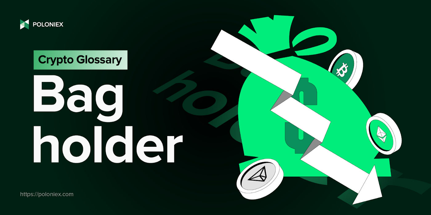 Latest Crypto Insights - Blog Expert Analysis | Poloniex